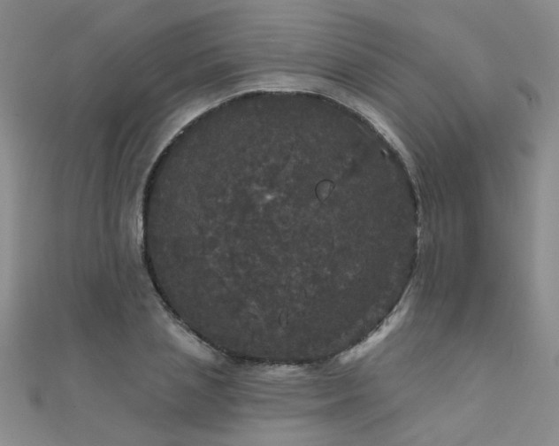 X0000111520837200907141506