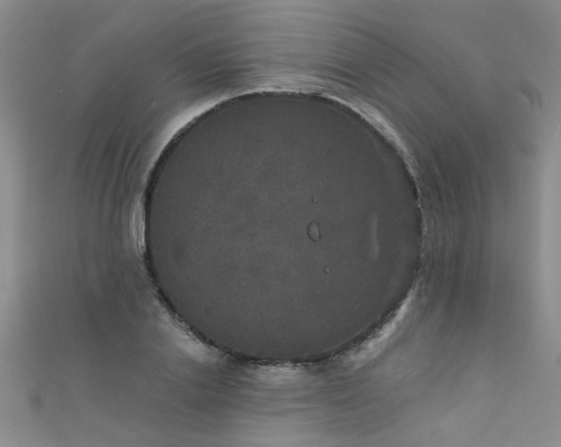 X0000111520838200907141506