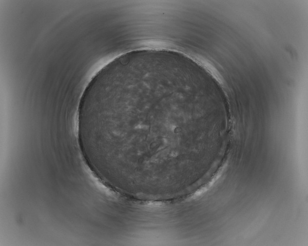 X0000111520839200907141506