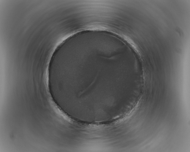 X0000111520840200907141506