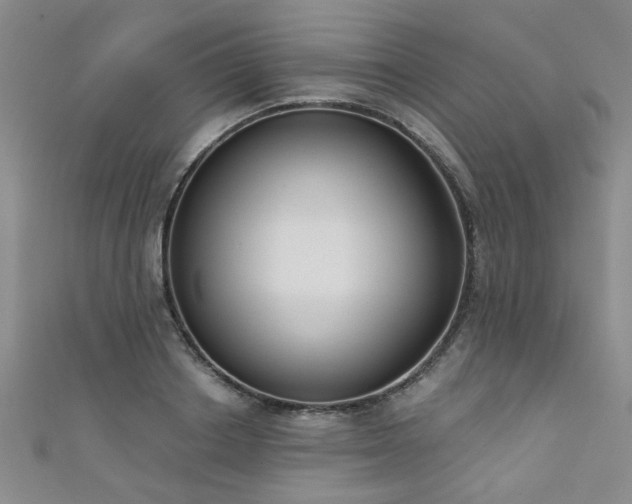 X0000111520842200907141506