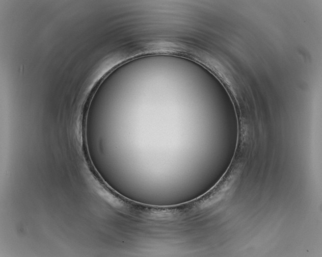 X0000111520843200907141506