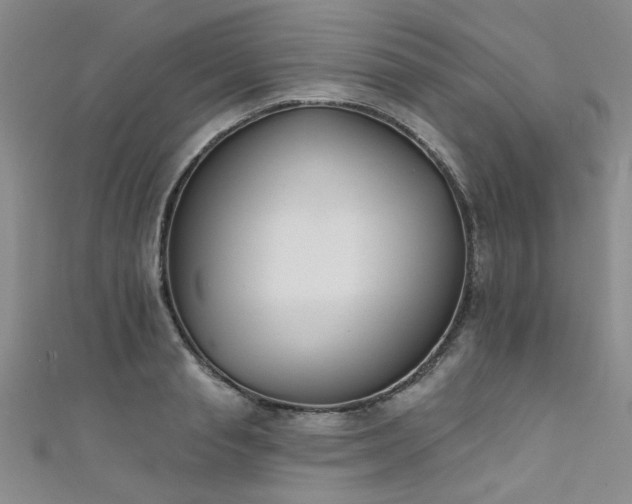 X0000111520845200907141506