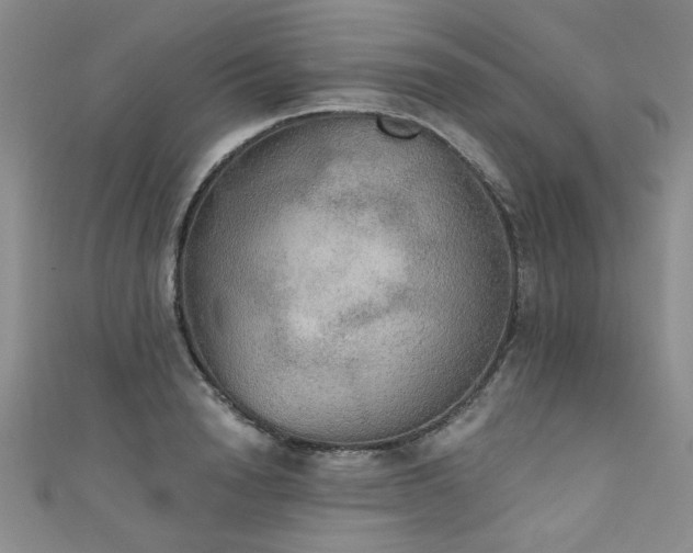 X0000111520846200907141506