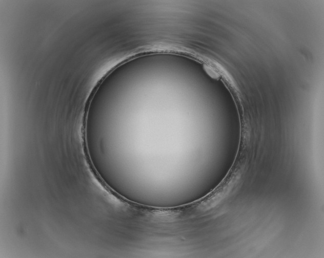 X0000111520847200907141506