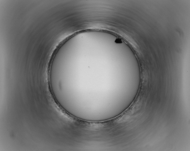 X0000111520848200907141506