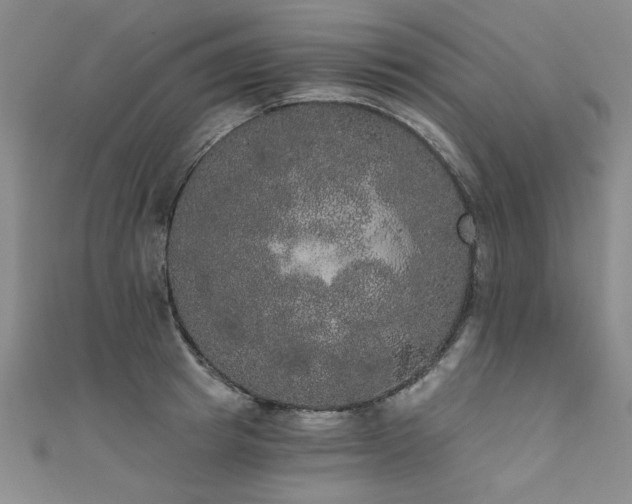 X0000111520849200907141506