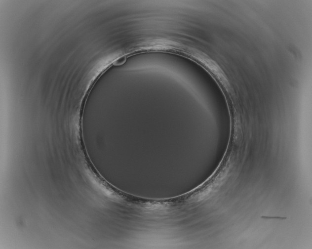X0000111520850200907141506