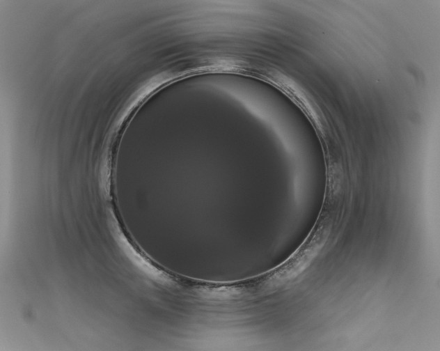 X0000111520851200907141506