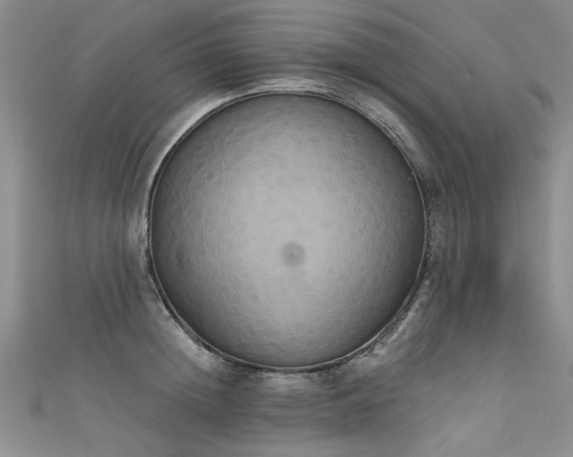 X0000111520852200907141506