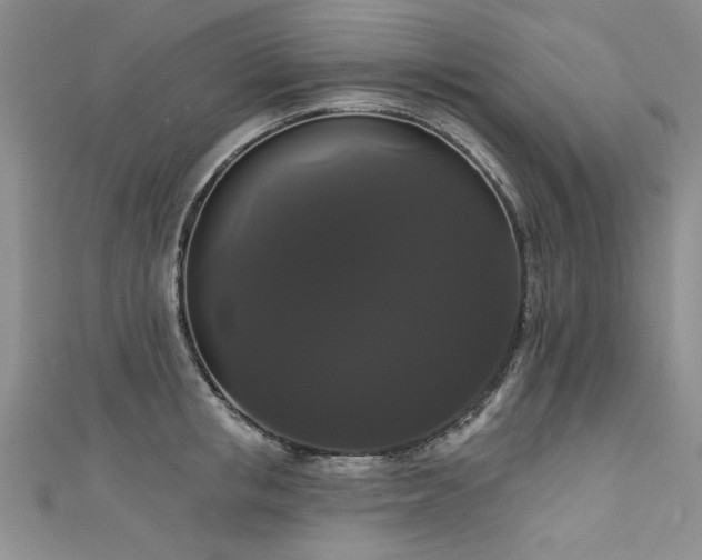 X0000111520853200907141506