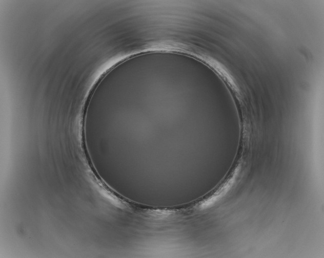 X0000111520854200907141506