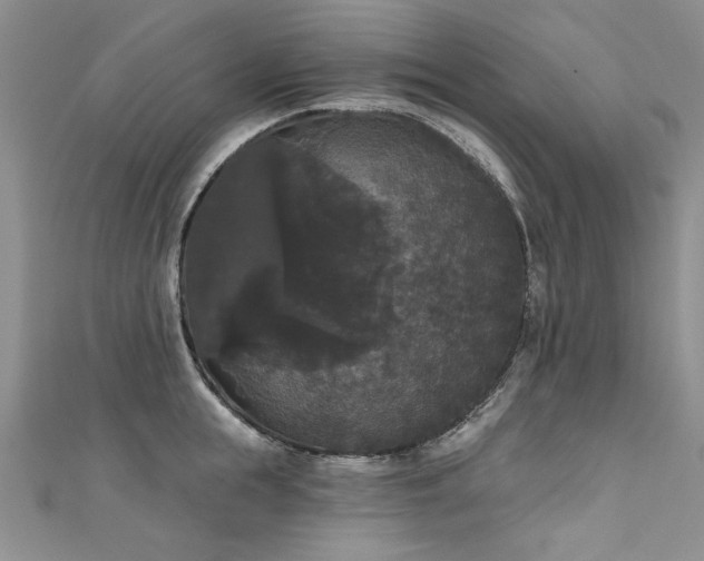 X0000111520855200907141506