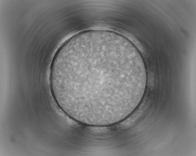X0000111520856200907141506