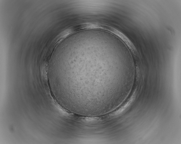 X0000111520857200907141506
