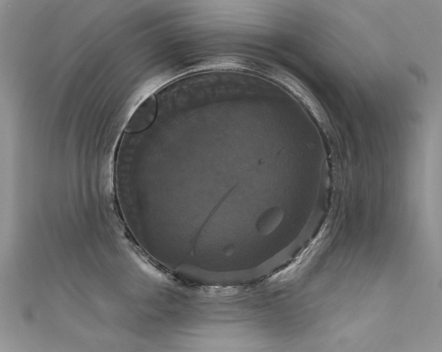 X0000111520858200907141506