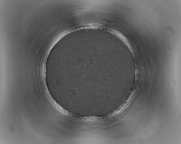 X0000111520859200907141506