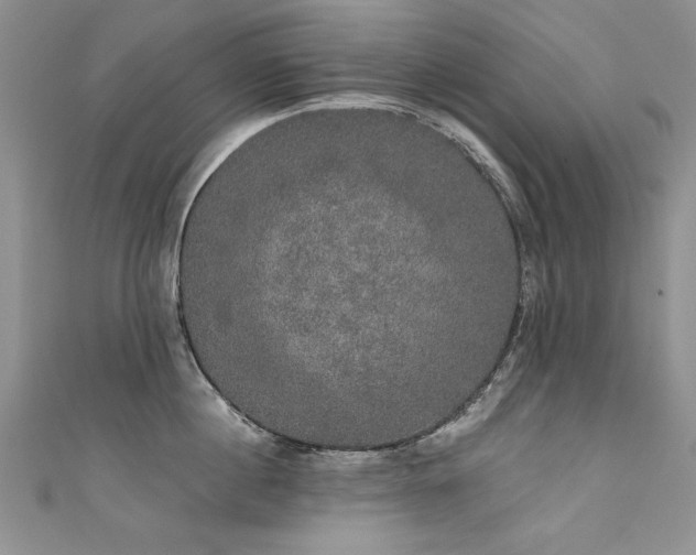 X0000111520860200907141506