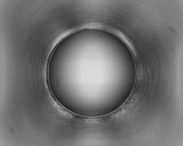 X0000111520861200907141506
