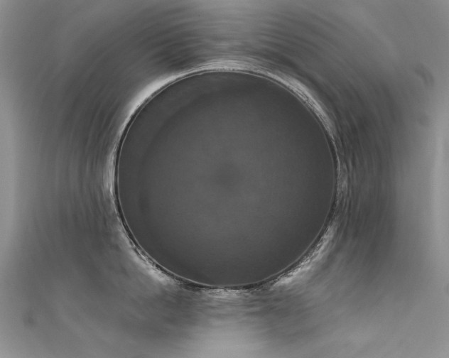 X0000111520862200907141506