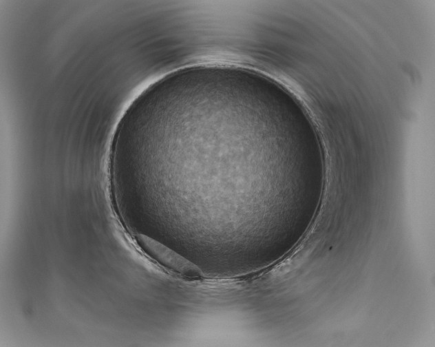 X0000111520864200907141506