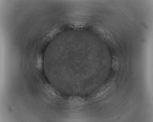 X0000111520866200907141506