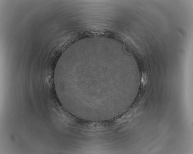 X0000111520867200907141506