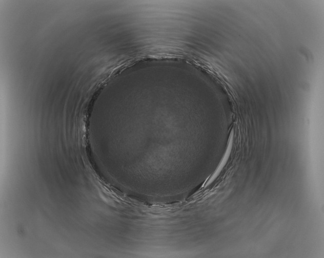X0000111520868200907141506