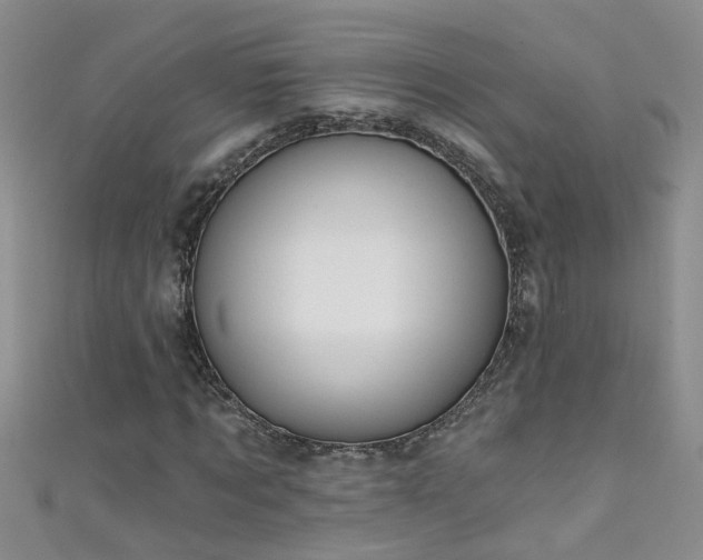 X0000111520869200907141506