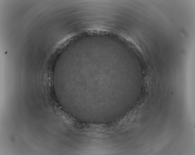 X0000111520870200907141505