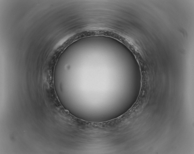 X0000111520871200907141505
