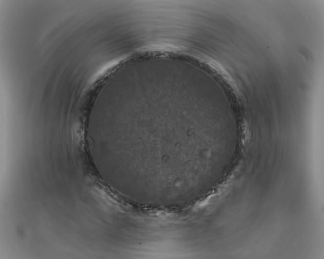 X0000111520872200907141505