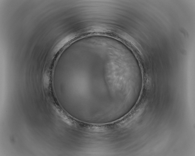 X0000111520874200907141505