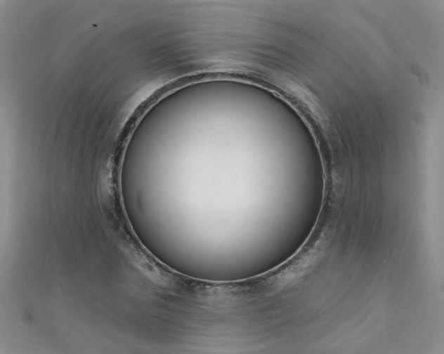 X0000111520875200907141505