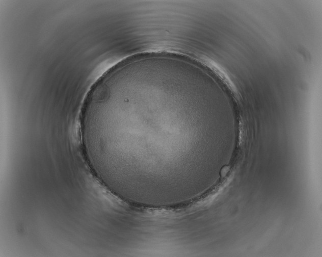 X0000111520876200907141505
