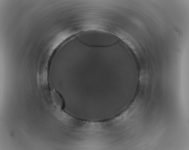 X0000111520877200907141505