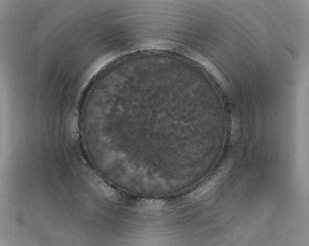 X0000111520878200907141505