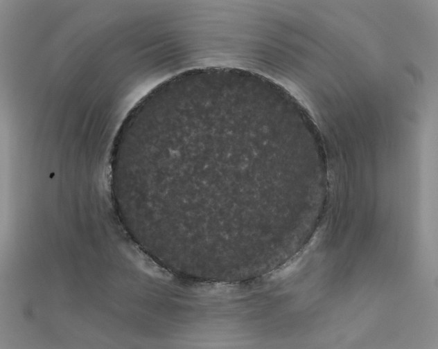 X0000111520879200907141505