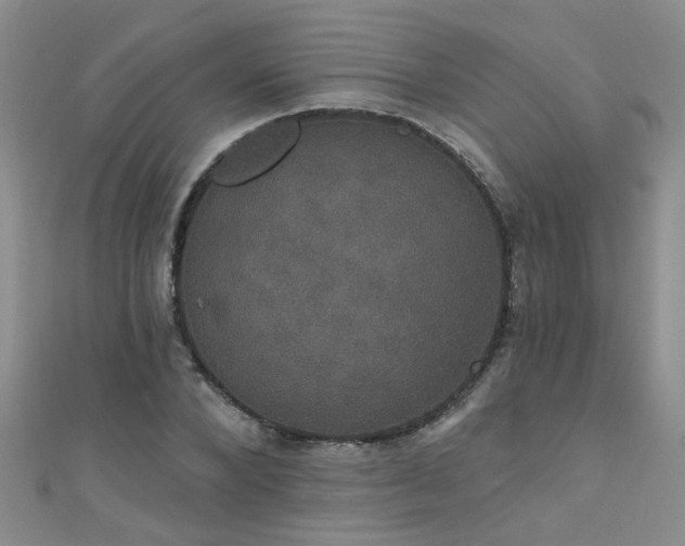 X0000111520880200907141505