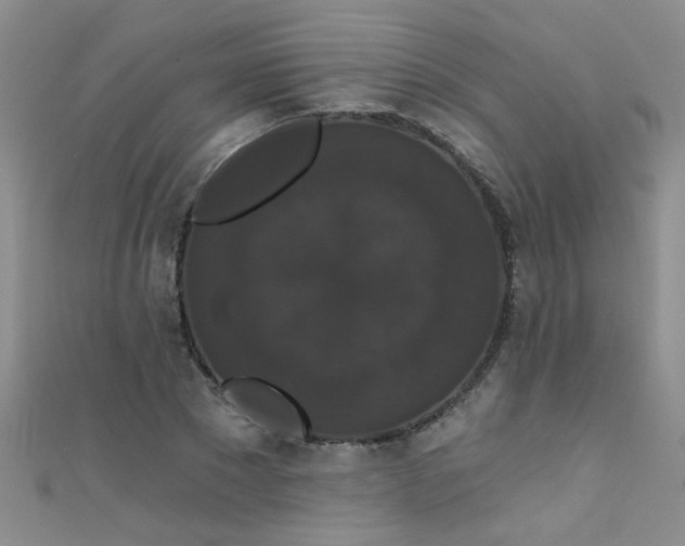 X0000111520881200907141505