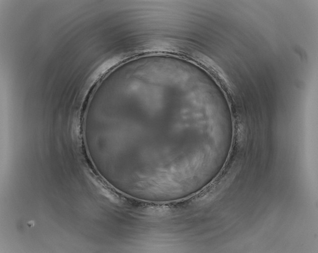 X0000111520882200907141505