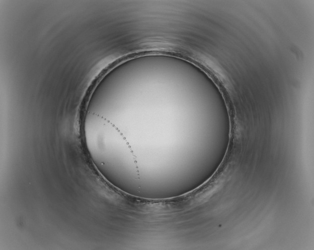 X0000111520883200907141505