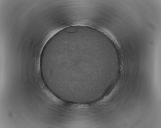 X0000111520884200907141505