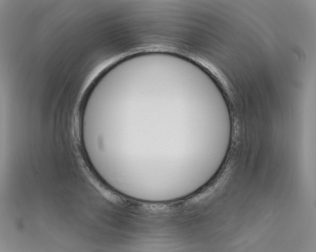 X0000111520886200907141505