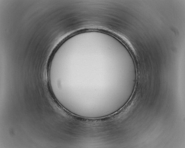 X0000111520887200907141505