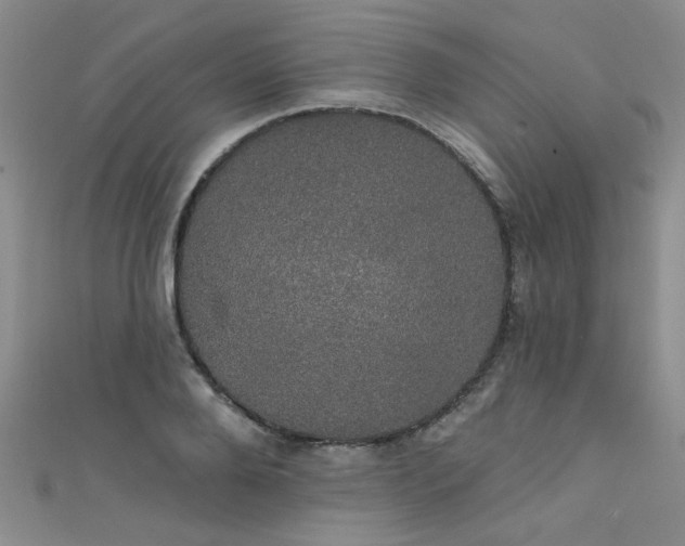 X0000111520888200907141505