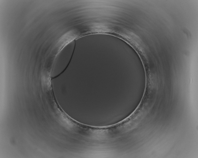 X0000111520889200907141505