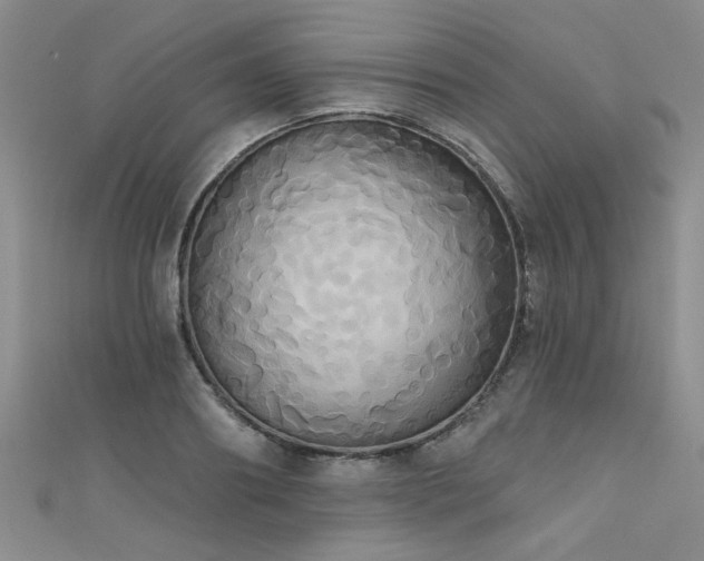 X0000111520890200907141505