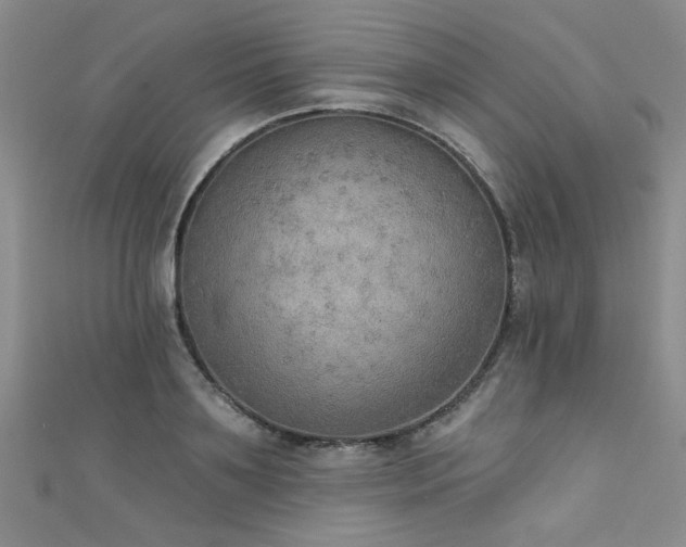 X0000111520891200907141505