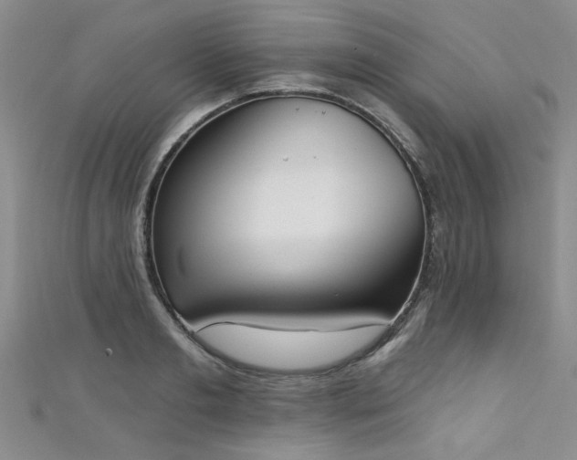 X0000111520893200907141505